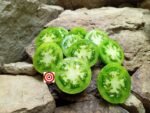 Tomato Dwarf Beryl Beauty Tomato