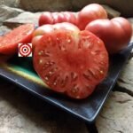Pink Brandywine Tomato