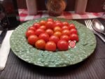 Rare Cherry Tomato Canary Island Tomato