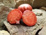 Rare Tomato Butler Skinner Tomato