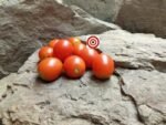 Australian Plum Tomato - Image 3