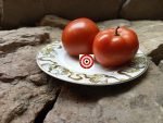 Red Tomato Beaverlodge Tomato