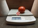 Slicing Tomato Beaverlodge Tomato
