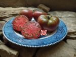 Beefsteak Tomato Clear Lake Heirloom Tomato