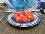 Bendigo Dawn Dwarf Tomato Cherry Tomatoes.