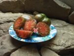 Brad Gates Dark Queen Tomato