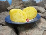 Casey's Pure Yellow Tomato