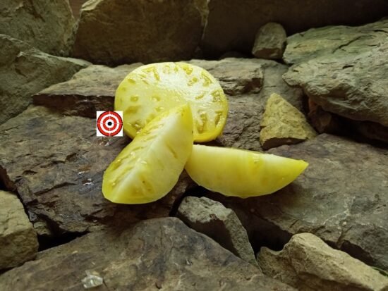 Casey's Pure Yellow Tomato Seeds