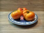 Large Tomato by Bill Jeffers