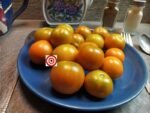Cherry Tomato Fred Sanford Cherry Tomato