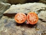 Chinese No. 2 Tomato