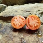 Chinese No. 2 Tomato