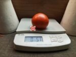 Chittenago Beefsteak Tomato