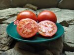 Chittenago Tomato Seeds