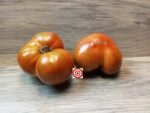 Chocolate Lightning Dwarf Tomato