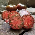 Clear Lake Heirloom Tomato