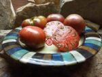 Clear Lake Heirloom Tomato Seeds