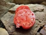 Cleota Pink Tomato - Image 2