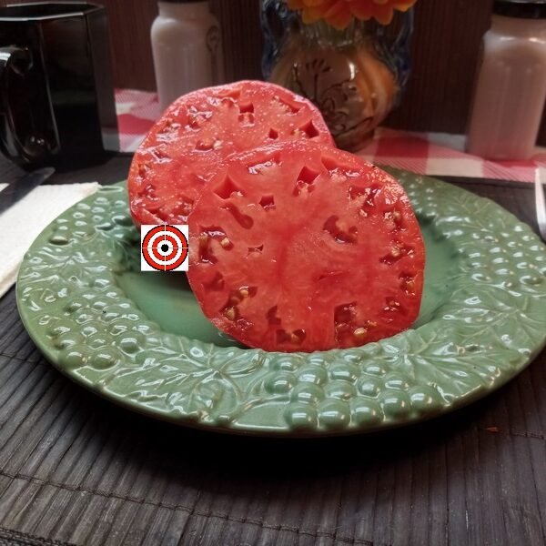 Cleota Pink Tomato