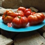 Constoluto Genovese Tomato