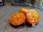 Copia Tomato Beefsteak Tomatoes