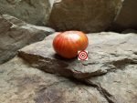 Copia Tomato Seeds