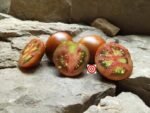 Crazy Horse Tomato Seeds