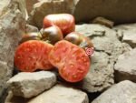 Crushed Heart Organic Tomato