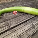 Cucuzzi Snake Gourd