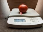 Cuore Di Bue Tomato