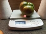 Dark Queen Tomato -
