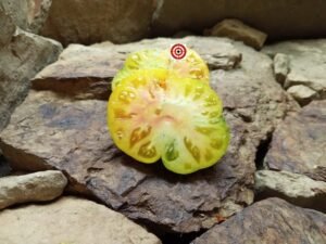 DeWeese Streaked Tomato
