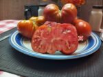 Dean Slater's Dean's Red Ruffles Tomato