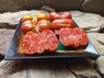 Dean's Red Ruffles Tomato
