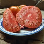 Delicious Hunt's Strain Tomato