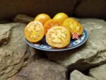 Djena Lee's Golden Girl (Oval Strain) Tomato