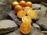 Djena Lee's Golden Girl Oval Tomato Seeds