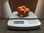 Dr. Neal Tomato