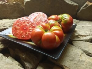 Dr. Neal Tomato Seeds