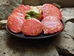 Dr. No Tomato
