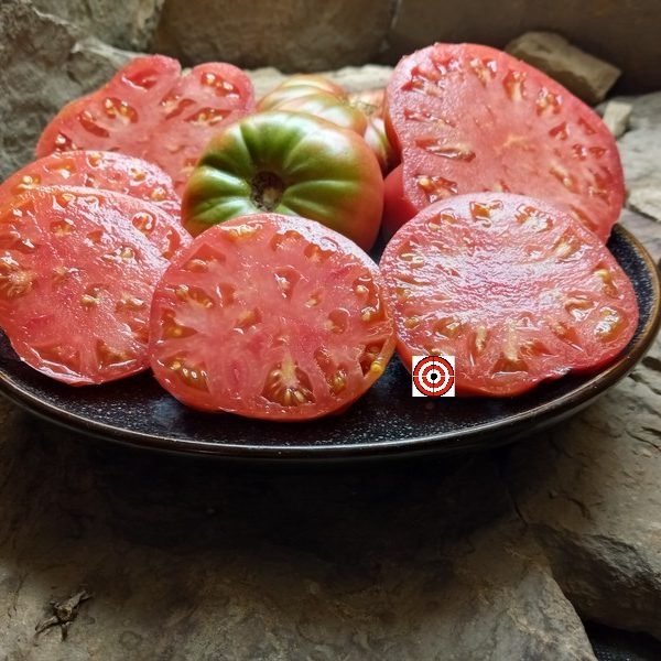 Dr. No Tomato