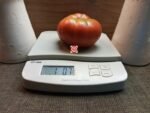 Dr. No Tomato Seeds