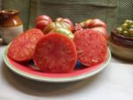 Dr. No Tomato by Dan McMurray