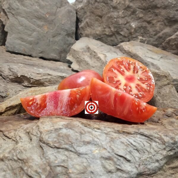 Dwarf Arctic Rose Tomato.