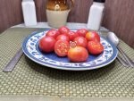 Dwarf Bendigo Dawn Tomato.