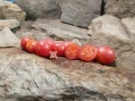 Dwarf Bendigo Dawn Tomato Seeds.