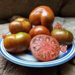 Dwarf Chocolate Lightning Tomato