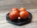 Coastal Pride Red Dwarf Tomato - Image 4