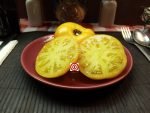 Dwarf Golden Gypsy Tomato