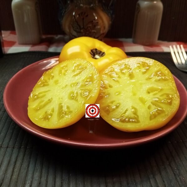 Dwarf Golden Gypsy Tomato